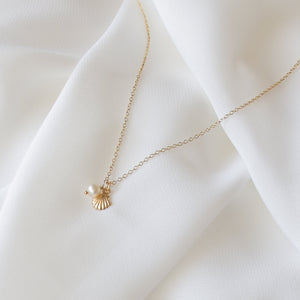 Tiny Seashell and Pearl Necklace